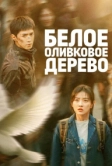 Белое оливковое дерево (2025)